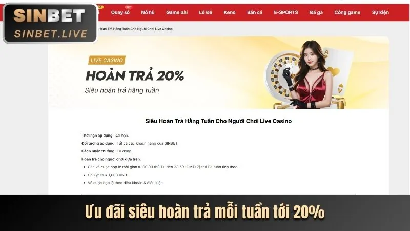 Hoàn Trả Hàng Ngày Ano88